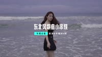 2019年9月新曲第二发 东北风歌曲小串烧 (DJ何鹏版)