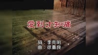 黃乙玲  愛到才知痛 KTV 高清修復版 未知 MV音乐在线观看