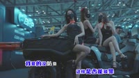 大叔老张-罪歌(DJheap九天版)中文DJ舞曲视频