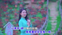 Lil笑笑-山茶花读不懂白玫瑰(DJ版)汽车车载音乐MV视频