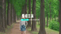 欣宝儿-爱情主演(DJ何鹏版)经典高清车载MV音乐