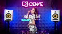 宋小娟-一边活着一边吃苦(DJ沈念版)车载音乐MV下载