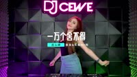 庄心妍 - 一万个舍不得 (DJ刚仔版)汽车mv视频