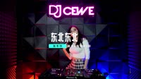 DJ阿远&张冬玲-东北东北(DJ阿远版)视频最新排行榜
