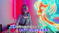陈瑞-九叶重楼医相思(DJ默涵版)音乐MV