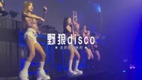 022--野狼disco-DJ车载音乐团队dj舞曲视频大全