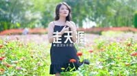 043--走天涯-DJ车载音乐团队MV视频下载网站