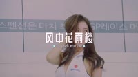0106--风中花雨楼-DJ车载音乐团队美女汽车视频大全 未知 MV音乐在线观看