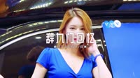 0133--辞九门回忆-DJ车载音乐团队