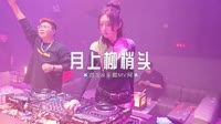 0148--月上柳梢头-DJ车载音乐团队