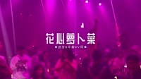 0175--花心萝卜菜-DJ车载音乐团队 未知 MV音乐在线观看