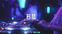 0179--若梦-DJ车载音乐团队 未知 MV音乐在线观看
