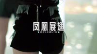 0261--凤凰展翅-Dj禄芷琦车载音乐团队 未知 MV音乐在线观看