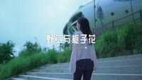 0269--野草与栀子花-DjFz车载音乐团队高清车载mv下载