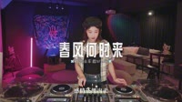 巴扎黑-春风何时来(DJ鬼鬼于航版)车载舞曲mp4下载网站