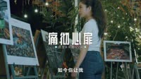 013--姜玉阳--痛彻心扉(DJ版)车载dj视频 未知 MV音乐在线观看