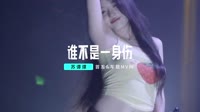 014--苏谭谭-谁不是一身伤(DJ版)车载视频歌曲大全高清 未知 MV音乐在线观看