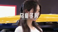 0452--乌梅子酱-Dj东东车载音乐团队 未知 MV音乐在线观看