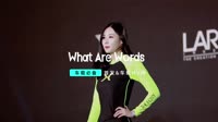 0514--What Are Words DJ.House团队MV下载网