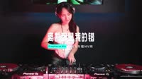 0968--离婚都是我的错 DJHouse团队