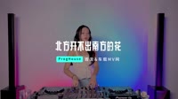 038--北方的春天开不出南方的花 DJHouse团队出品