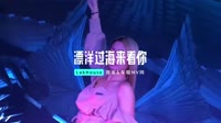 01053--漂洋过海来看你 DJ车载团队