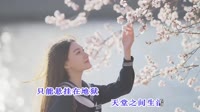 KTV 导唱字幕--爱上你等于爱上了错 (DJ版)