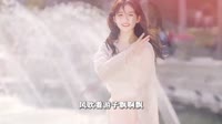 贺子玲-家乡花又开 (DJ沈念版)