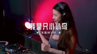 谭艳 - 我是一只小小鸟(DJ wave ProgHouse ReMix) 未知 MV音乐在线观看