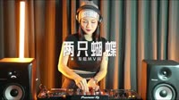 01358--两只蝴蝶 DJHouse