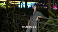 李雨婷-烟火里的尘埃 (DJ沈念Remix版)