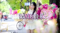 我是真的爱上你 (Dj阿本Max remix) (Remix)-Dj阿本Max
