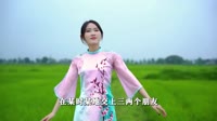 以后的以后 (DJ默涵版)-洋澜一 未知