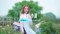 DJ Candy-庾澄庆-热情的沙漠-车载DJ1