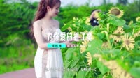 怪阿姨-为你爱的着了魔(DJ九零版)1