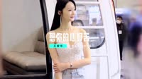 王爱华-想你的心好苦(DJ默涵版)1