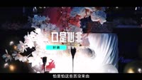 口是心非(DJ九零版)
