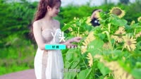 丫头(DJ阿D版)车载mv下载车载dj视频
