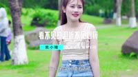 看不见的泪听不见心碎(DJ默涵版)