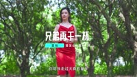 兄弟再干一杯(DJ车载版)车载dj视频大全