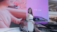 一生的虔诚(DJ版)车载音乐视频