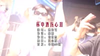 杯中酒伤心泪 (DJ沈念版)车载mv视频
