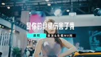 【免费下载】是你的绝情伤害了我 (DJ Candy版)