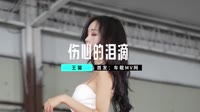 【免费下载】伤心的泪滴DJ默涵版