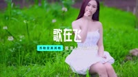【免费下载】歌在飞 (DJ版)