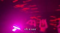 【免费下载】你是我曾经拼了命爱过的人 (DJ默涵版)夜店车载mv歌曲视频