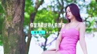 【免费下载】你是我拒绝别人的理由(Dj伦大人 FunkyHouse Mix国语女)咚鼓高清车载mv下载1080p