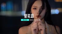 【免费下载】梨花泪(DJ默涵版)