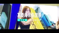 【免费下载】不要再来伤害我-车载mv视频歌曲大全高清