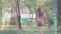 欧得洋-孤单北半球-(2012 DJ王伟然 Club Mix)